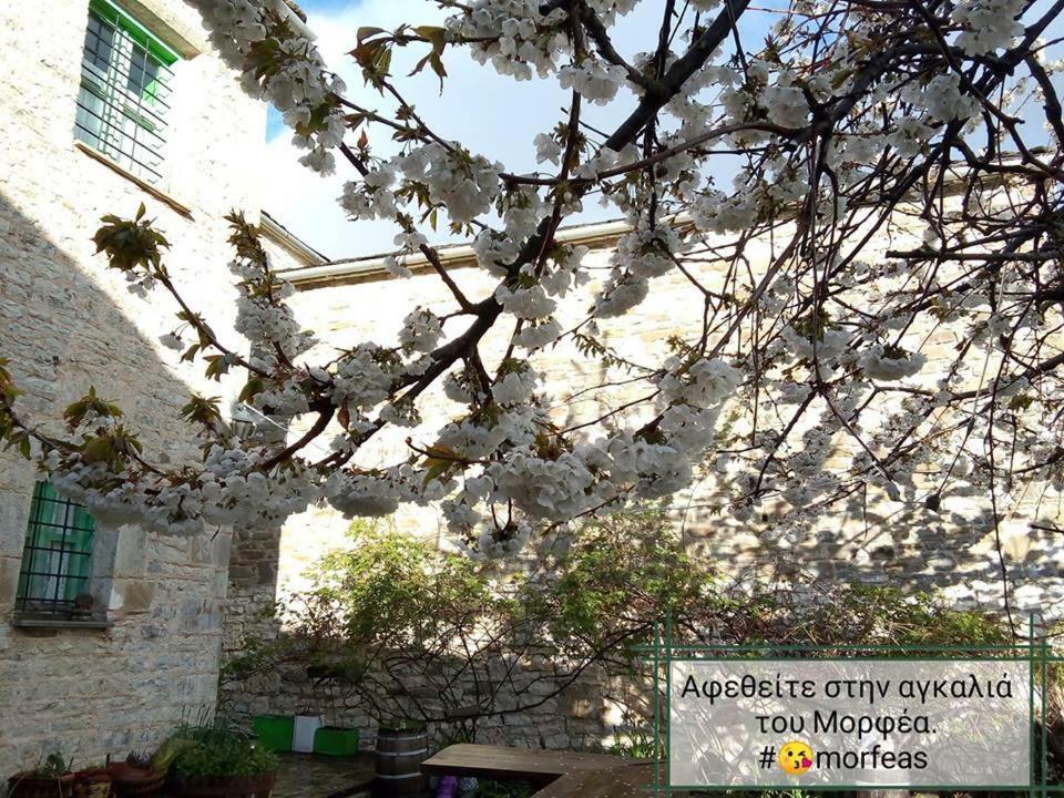 Morfeas Guesthouse パピンゴ エクステリア 写真