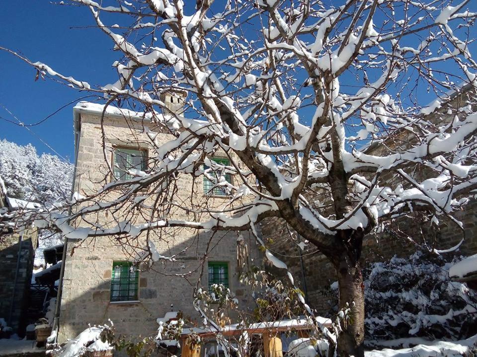 Morfeas Guesthouse パピンゴ エクステリア 写真